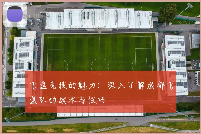飞盘竞技的魅力：深入了解成都飞盘队的战术与技巧